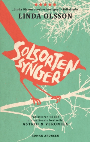 Solsort Paperback